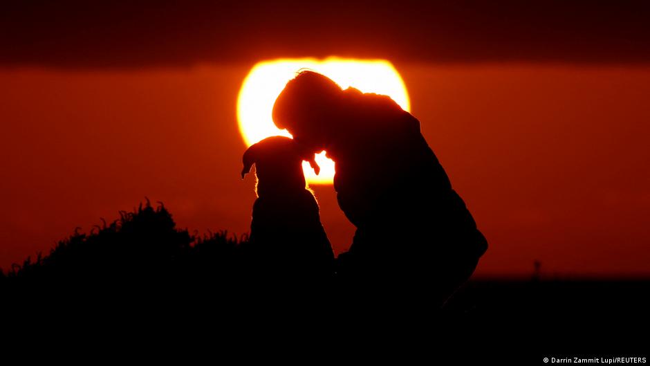¿Cuándo aparecieron perros en la vida de los seres humanos?