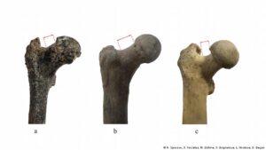 ¿El humano más antiguo estaba en Bulgaria y no en África?