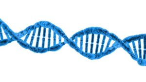 ¿Tiene la evolución un techo?