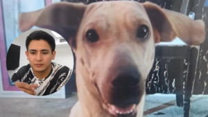 A centro carcelario enviaron a sujeto señalado de matar a la perrita ‘Kira’ en Bucaramanga, hecho que quedó grabado en video y ha causado conmoción