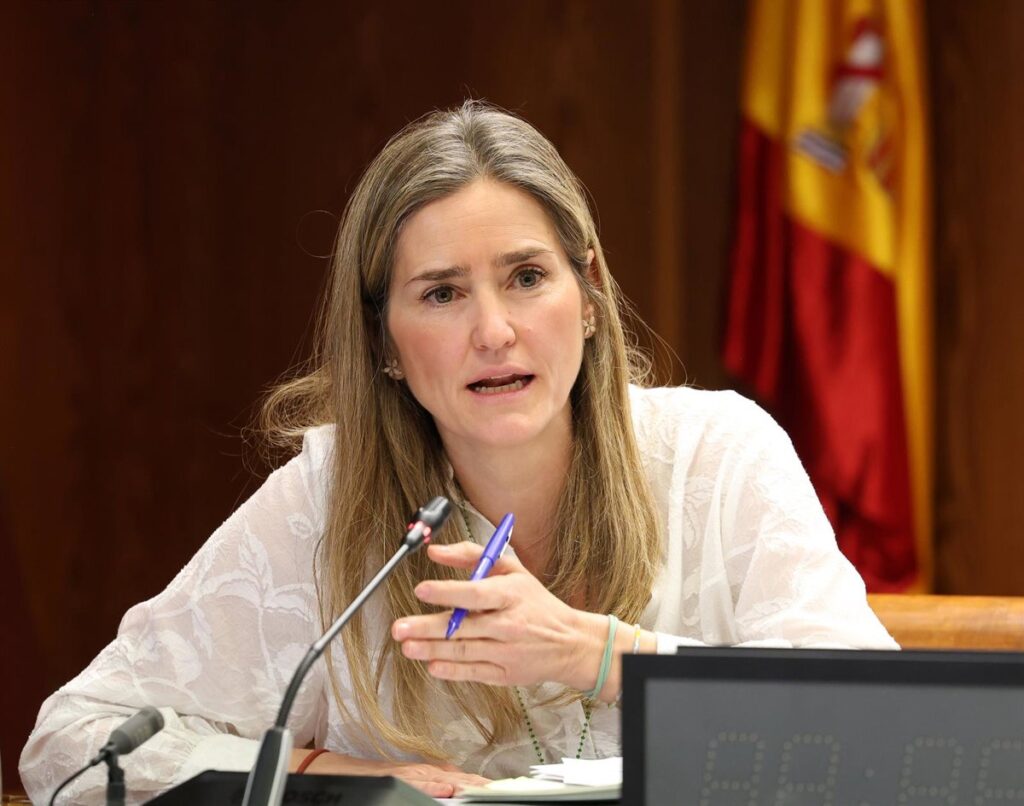 Aagesen defiende que informes han acallado las voces que quisieron "demonizar" las renovables por el apagón