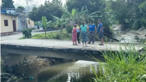 Advierten que el puente sobre el Caño Bubuqui de Mérida podría colapsar