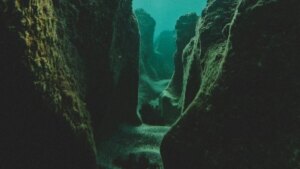 Arqueólogos descubren un mundo hundido de casi 150 mil años bajo el mar de Indonesia. Estaba lleno de bestias gigantes y restos de una especie humana extinta nunca antes vista