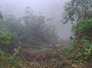 Asciende a nueve la cifra de fallecidos por accidente en carretera Mérida – Barinas: identifican a las víctimas