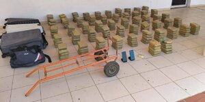CPNB incauta 137 kilos de marihuana en el estado Falcón