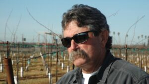 Cazador millonario muere pisoteado por una manada de elefantes