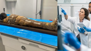 Científicos descubrieron un papiro oculto bajo las vendas de una momia egipcia de más de 2.000 años