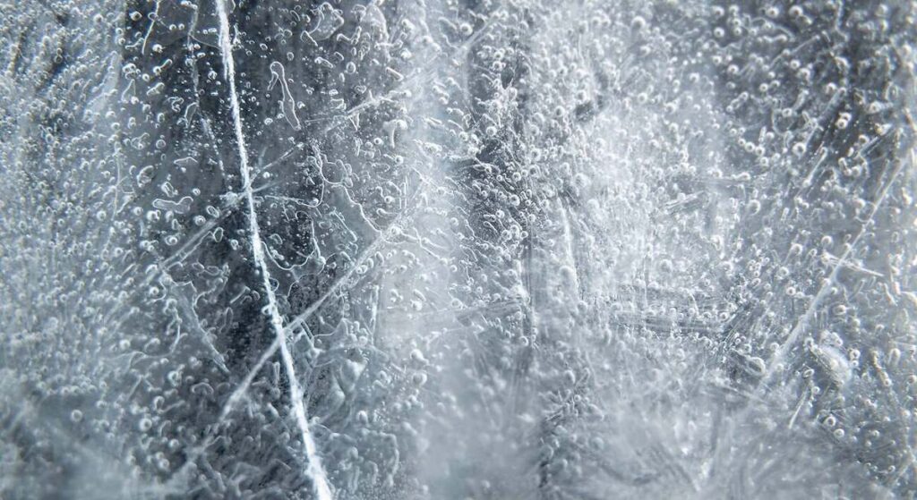 Científicos revivieron a un animal de 24.000 años de antigüedad que estaba congelado: nada más despertar empezó a reproducirse
