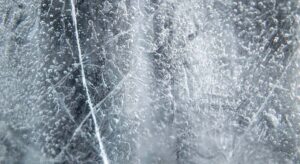 Científicos revivieron a un animal de 24.000 años de antigüedad que estaba congelado: nada más despertar empezó a reproducirse