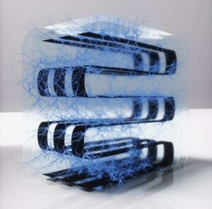 Construyen una computadora biológica | Noticias de la Ciencia y la Tecnología (Amazings® / NCYT®)