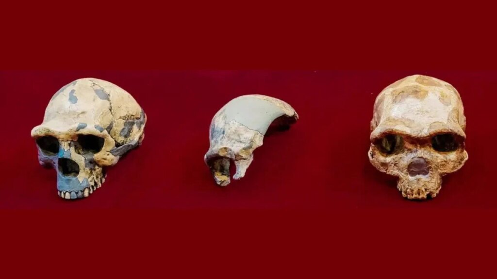 Creíamos saber cuándo los primeros humanos salieron de África. Un hallazgo en el valle del Jordán sugiere que ocurrió mucho antes y de forma más compleja