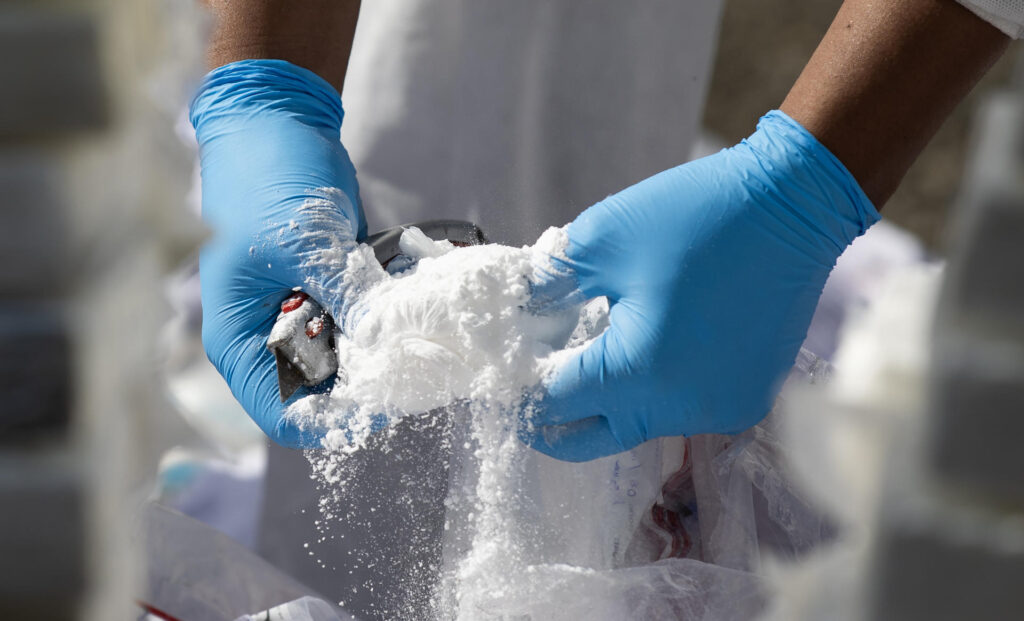 Decomisan 58 kilos de cocaína y otros 559 de marihuana en distintas operaciones en Bolivia - AlbertoNews