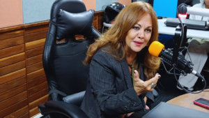 Defensora del Pueblo rechaza violencia en las protestas