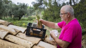 Denominación de Origen, Teruel: los productores de alimentos muestran el poder de la tierra