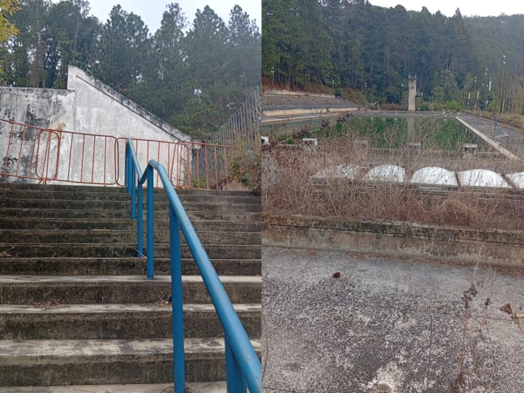 Denuncian abandono de la piscina olímpica de la USB, habitada por una baba desde hace años (FOTOS)