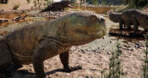 Descubren en Brasil un reptil de 230 millones de años con un rasgo único que obliga a replantear cómo evolucionaron los herbívoros antes de los dinosaurios