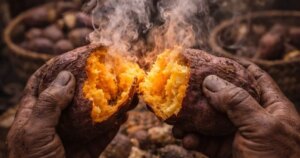 Descubren que la dieta de los Māori hace 300 años fue muy distinta a lo que se creía y el hallazgo sorprende a los investigadores