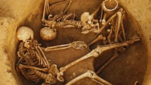 Durante miles de años los europeos creyeron tener orígenes diversos. Un enorme estudio genómico acaba de mostrar algo sorprendente: casi todos comparten raíces con antiguos agricultores de Anatolia