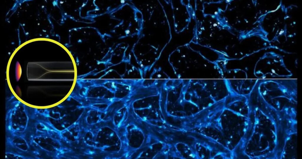 El MIT crea un haz de luz que se organiza solo para ver, por primera vez, qué entra en el cerebro de un enfermo