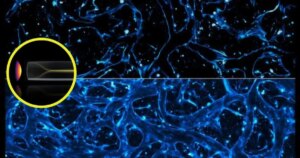 El MIT crea un haz de luz que se organiza solo para ver, por primera vez, qué entra en el cerebro de un enfermo