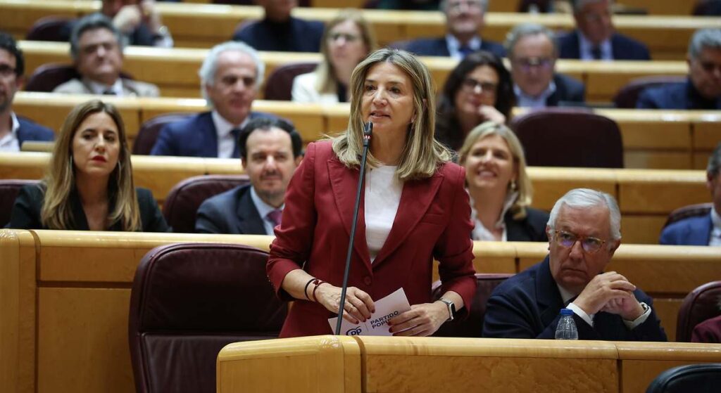 El PP exige la dimisión de las "señoras del apagón" y culpa al Gobierno de políticas "radicales y sectarias"