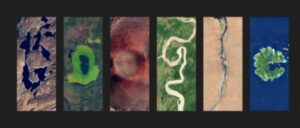 El doodle de Google por el Día de la Tierra 2026: una oda a la biodiversidad para despertar la conciencia global – AlbertoNews