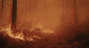 El humo de los incendios forestales no solo afecta a los pulmones en el momento, sino que podría aumentar el riesgo de cáncer