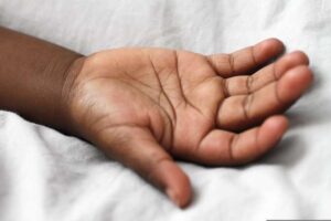 El milagro de la ingeniería evolutiva: ¿Por qué la mano humana es el instrumento más avanzado del planeta?