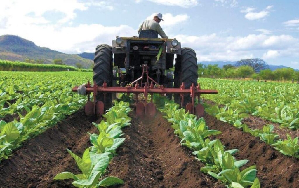 Fedeagro advirtió que el sector agrícola necesita seguridad jurídica para no quedar rezagado
