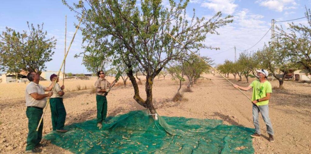 Financiación para facilitar el relevo generacional en el campo aragonés