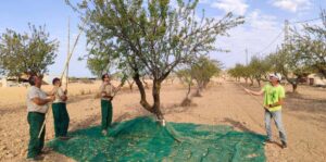 Financiación para facilitar el relevo generacional en el campo aragonés