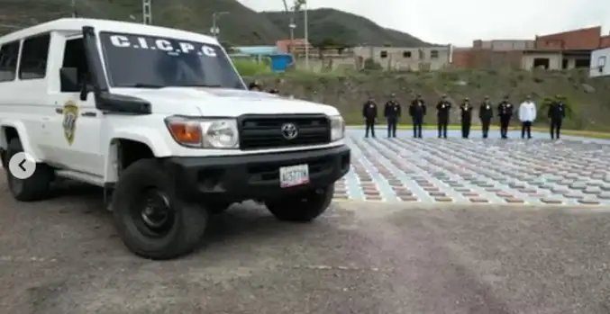 Incautan más de 400 kilos de marihuana ocultos entre hortalizas
