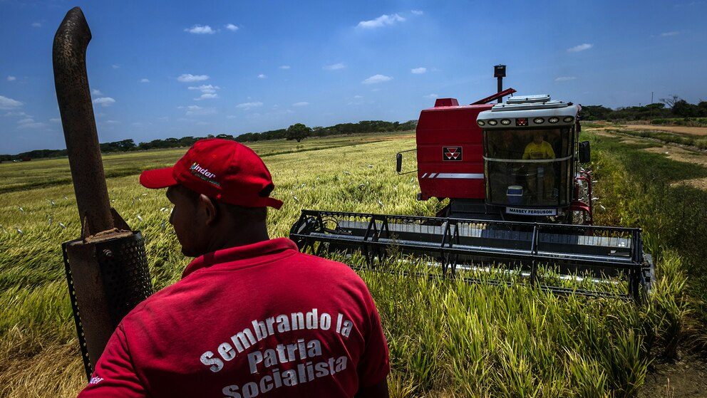 Ingenieros agrónomos advierten que sin garantías sobre la tierra no habrá grandes inversiones en Venezuela (VIDEO)