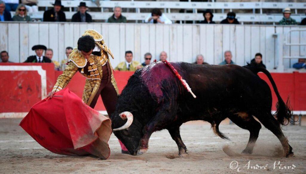 Jesús Enrique Colombo, máxima expresión de la torería nacional para el mundo