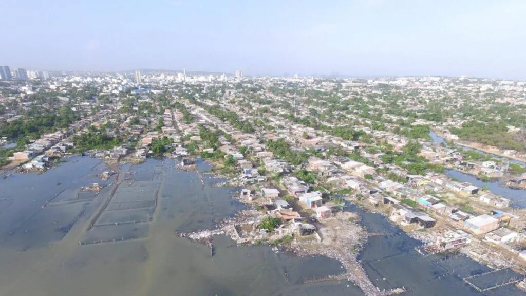La Ciénaga de la Virgen, el ecosistema de Cartagena que agoniza entre rellenos ilegales, invasiones y la inacción estatal