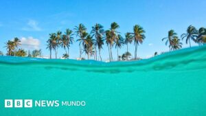 La «Isla del Ayer», la «Isla del Mañana» y otras islas con fronteras curiosas que comparten varios países