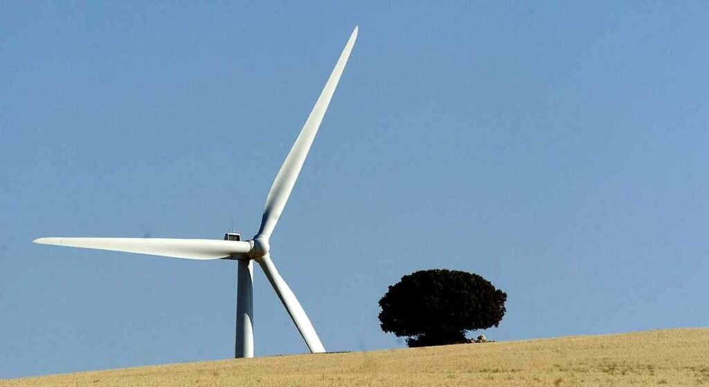 La eólica mundial marca récord en 2025 con 165 GW nuevos, pero aún necesita duplicar su ritmo para cumplir los objetivos climáticos