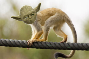 La opción B de George Lucas para crear a Yoda no eran efectos especiales, sino un mono con máscara. ¡Y hay una foto que lo confirma!