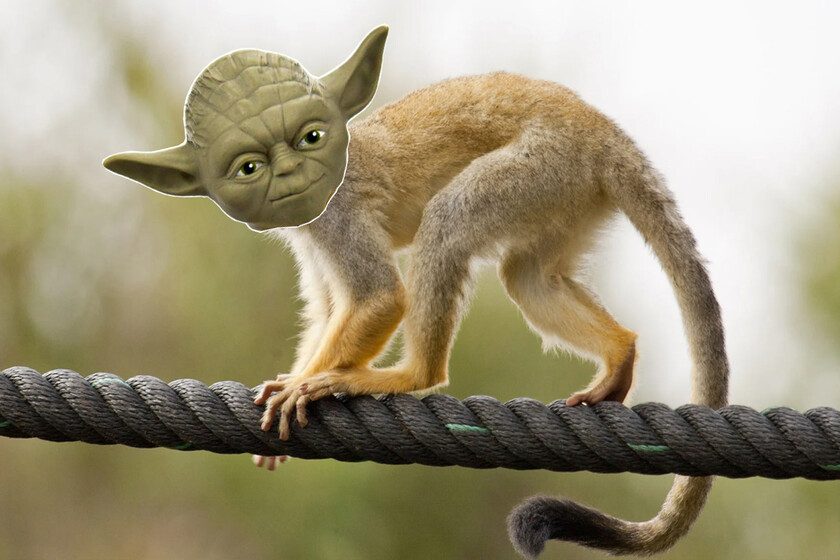 La opción B de George Lucas para crear a Yoda no eran efectos especiales, sino un mono con máscara. ¡Y hay una foto que lo confirma!