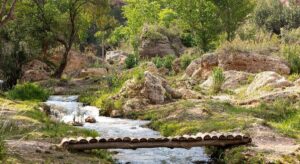 La sencilla ruta del agua: un pueblo azul a 70 kilómetros de Valencia con bosques de película perfecto para todos los niveles