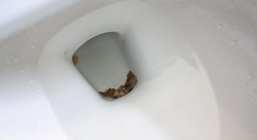 Las manchas oscuras al fondo del váter no se pueden eliminar frotando con la escobilla, en cambio, la piedra pómez de limpieza es la mejor alternativa para devolver el tono blanco original