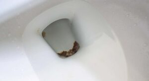 Las manchas oscuras al fondo del váter no se pueden eliminar frotando con la escobilla, en cambio, la piedra pómez de limpieza es la mejor alternativa para devolver el tono blanco original
