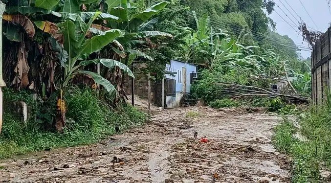 Lluvias causan deslizamientos de tierra en Mérida