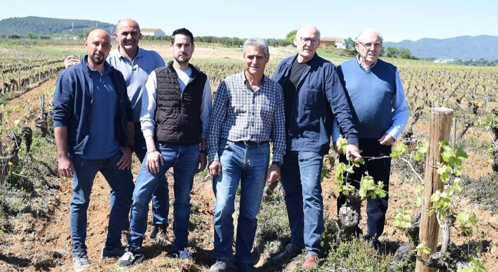 Los agricultores del cava se unen para endurecer los requisitos de la DO