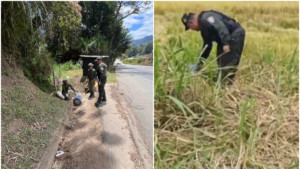 Los disidentes intentaban nuevo ataque como en la vía Panamericana, en Cajibío, ocultando cinco cilindros en una alcantarilla: esta vez, en Piendamó