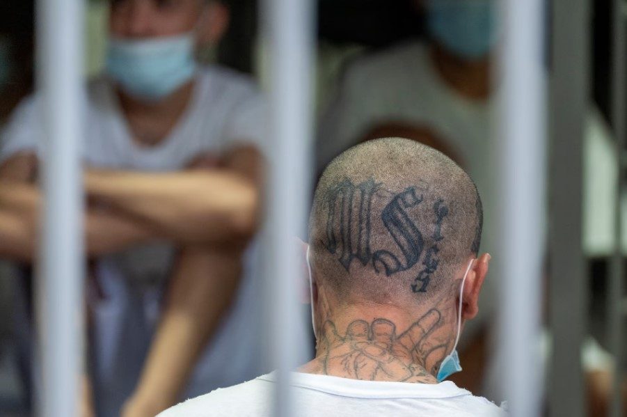 Más de 400 líderes pandilleros de la MS13 son juzgados en macroaudiencia en El Salvador - AlbertoNews