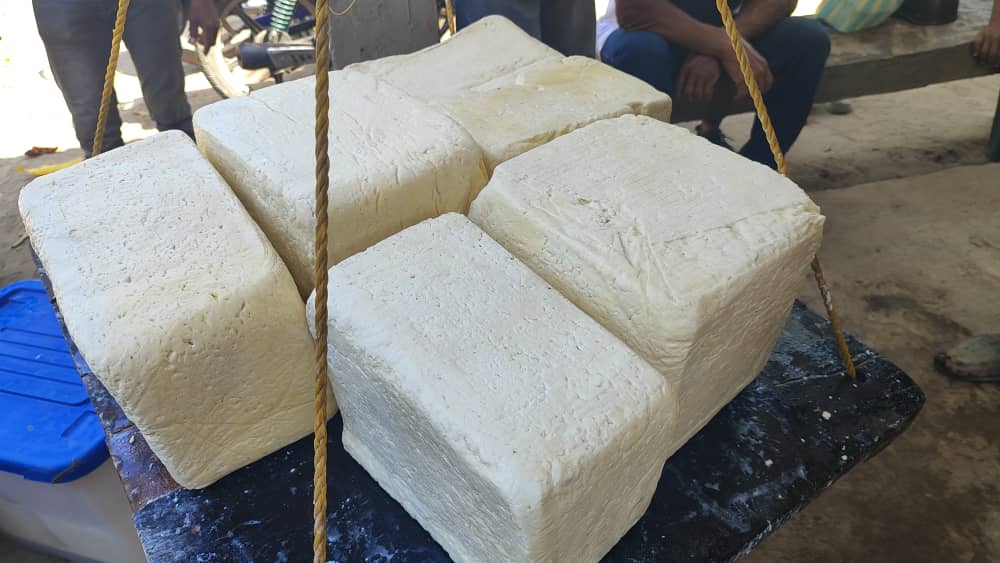 Más del 40% del queso que se consume en Venezuela se hace con leche de búfala