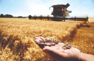 Pekín y Kiev acuerdan los requisitos para la exportación de harina de trigo a China – AlbertoNews