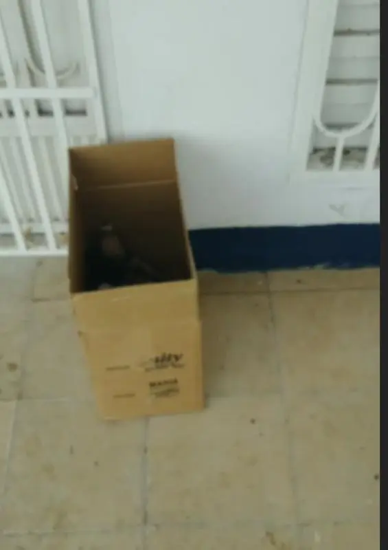 Persiste el abandono de mascotas en frontera