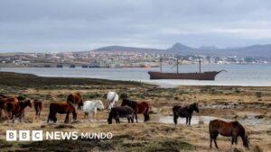 Por qué las islas Malvinas/Falklands ofrecen a Trump una vía para presionar a Reino Unido